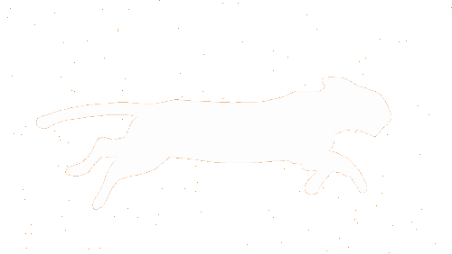 Transparent preloader